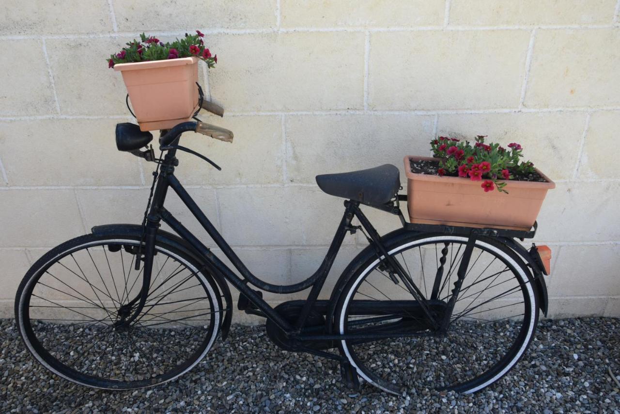 Quei Trulli Divini Bed & Breakfast